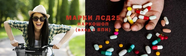 крисы Зеленокумск