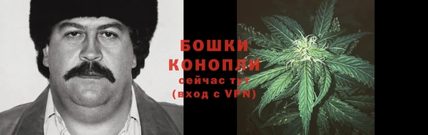метадон Зеленодольск